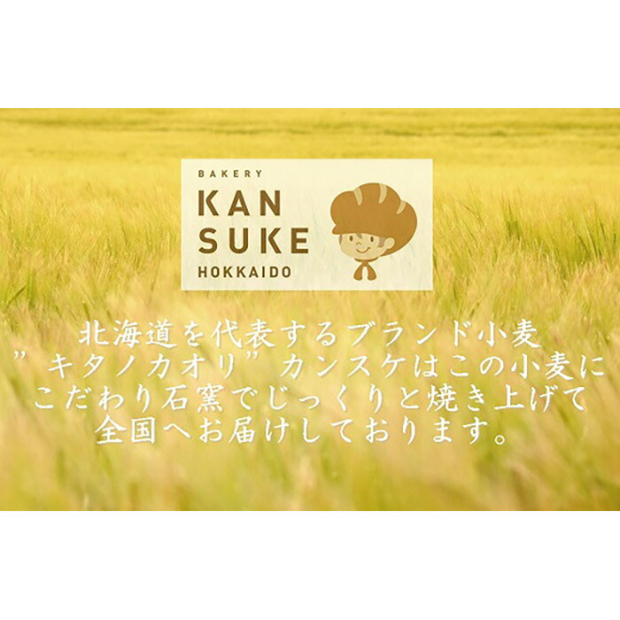 【ふるさと納税】『こだわりの北海道産小麦のパンセット』石窯で焼き上げたお任せパンセット【19001】