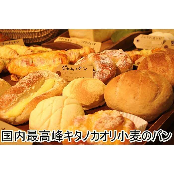 【ふるさと納税】『こだわりの北海道産小麦のパンセット』石窯で焼き上げたお任せパンセット【19001】