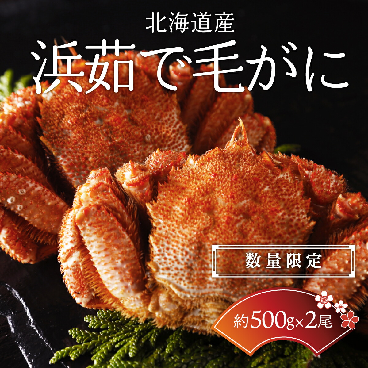 【ふるさと納税】【数量限定】＜北海道産＞浜茹で毛がに【約500g&times;2尾】（網走加工） 【 ふるさと納税 人気 おすすめ ランキング 毛蟹 毛ガニ 毛がに かに味噌 カニみそ 浜茹で 北海道 網走市 送料無料 】 ABC016｜北海道網走市 39,000円