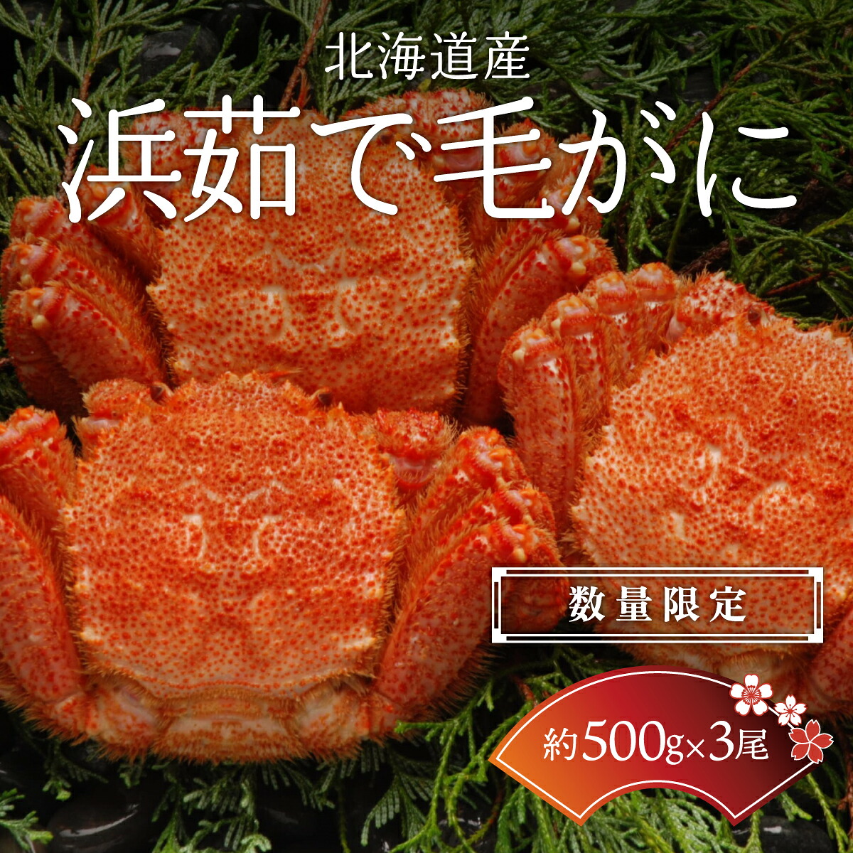 【ふるさと納税】【数量限定】<北海道産>浜茹で毛がに【約500g×3尾】(網走加工) 【 ふるさと納税 人気 おすすめ ランキング 毛蟹 毛ガニ 毛がに かに味噌 カニみそ 浜茹で 北海道 網走市 送料無料 】 ABC017|北海道網走市