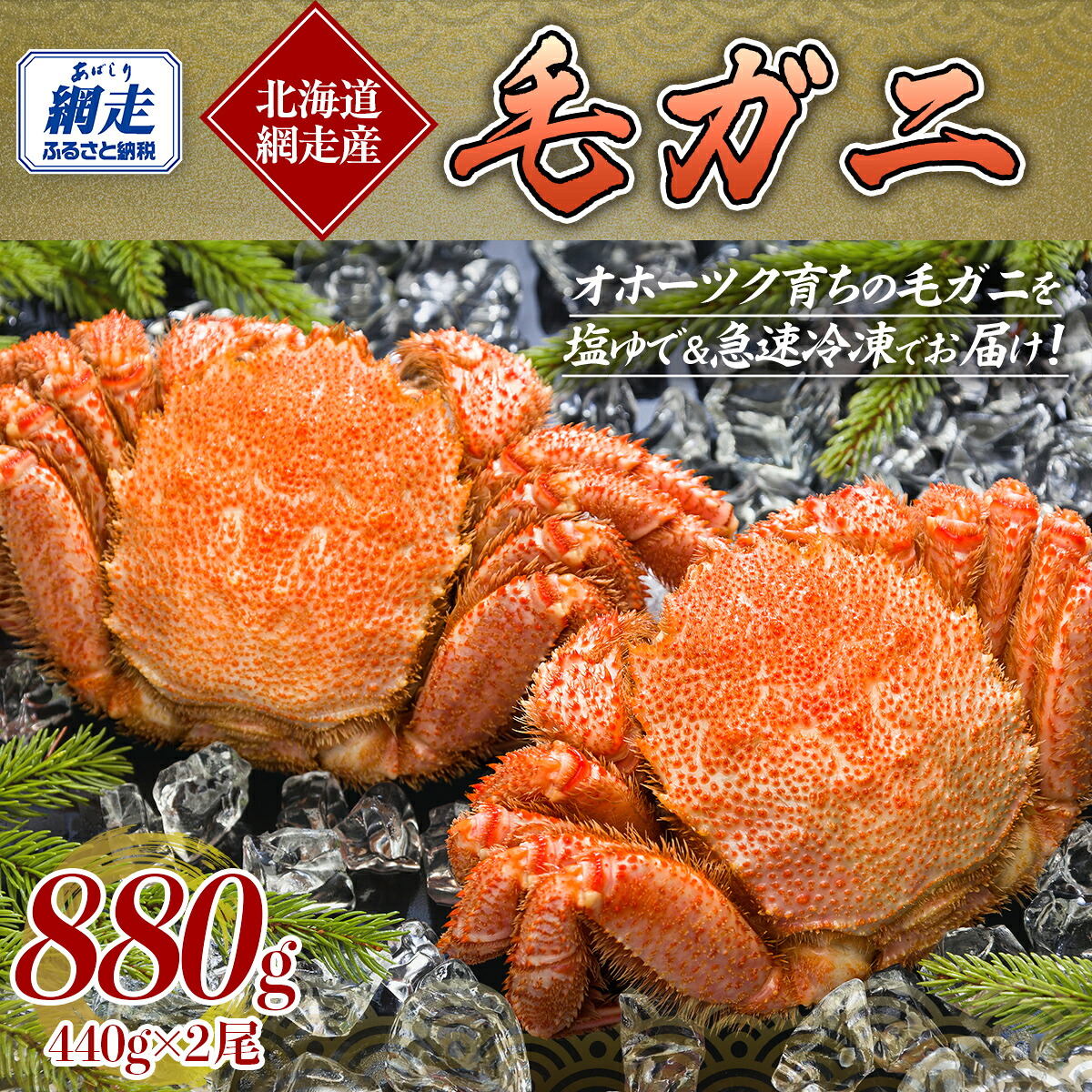 【ふるさと納税】網走産 毛ガニ 440g&times;2尾【 ふるさと納税 人気 おすすめ ランキング 毛蟹 毛ガニ 毛がに 浜茹で まるごと 2尾 かに味噌 北海道 網走市 送料無料 】 ABE091｜北海道網走市 26,000円