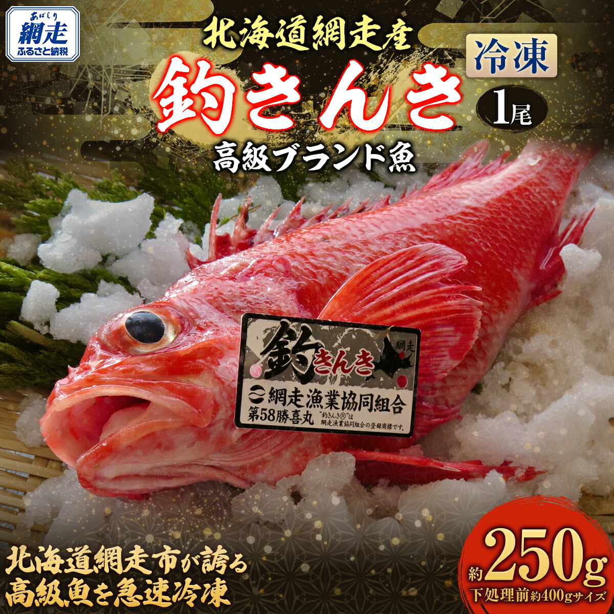 【ふるさと納税】【先行予約】【網走産】高級ブランド釣きんき 1尾【冷凍】（2025年5月15日より順次発送） 【 ふるさと納税 人気 おすすめ ランキング きんき 釣きんき キンキ 高級魚 冷凍 直送 ブランド魚 魚介 オホーツク 北海道 網走市 送料無料 】 ABJ013