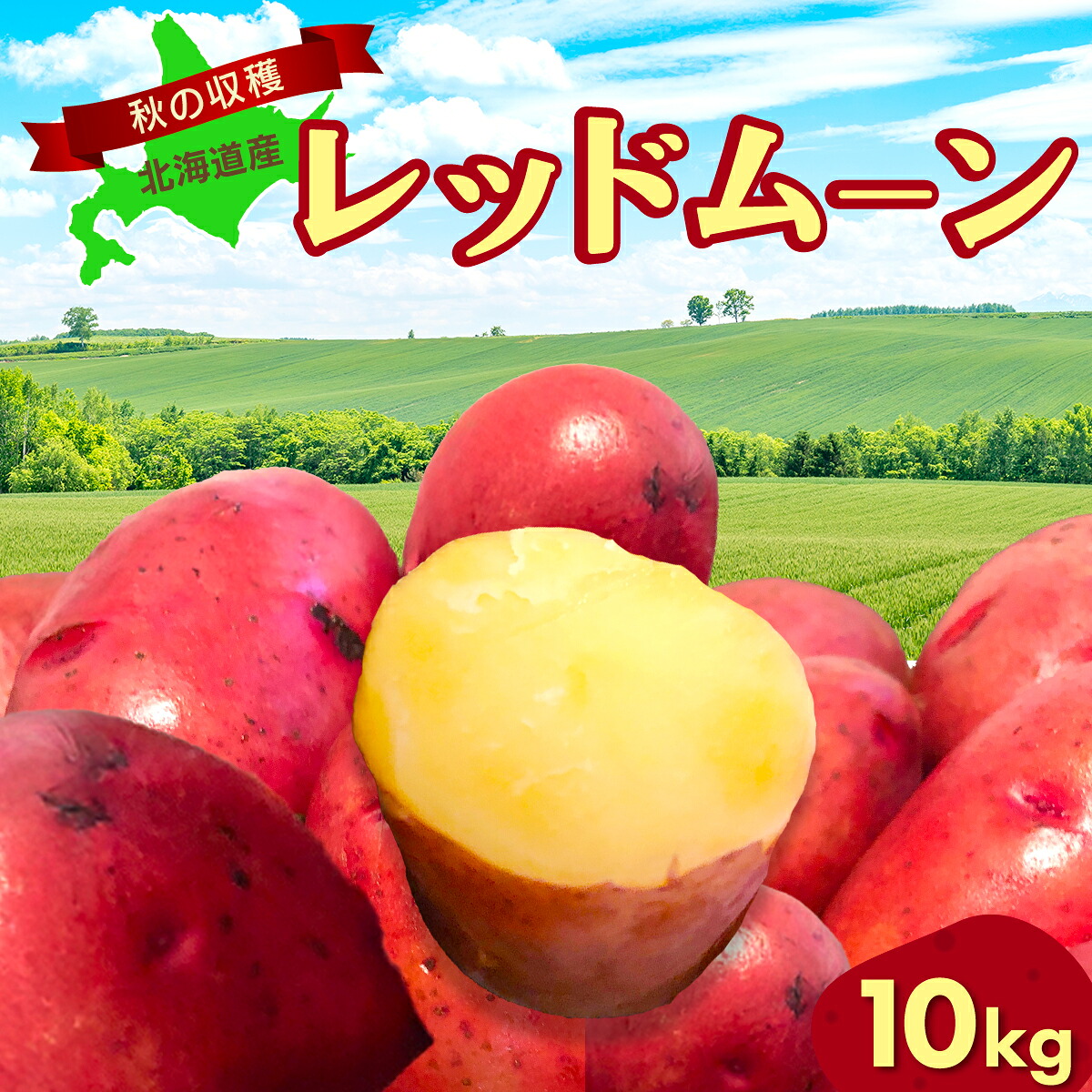 【ふるさと納税】【先行予約】秋の収穫美味レッドムーンじゃがいも 10kg（2026年9月15日以降発送）【 ふるさと納税 人気 おすすめ ランキング レッドムーン じゃがいも ジャガイモ いも イモ 芋 10kg 野菜 支援 網走産 オホーツク 北海道 網走市 送料無料 】 ABAO071 8,760円