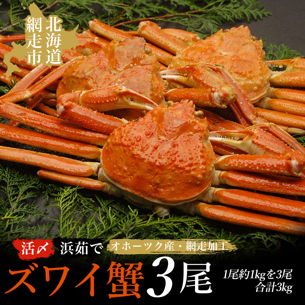 【ふるさと納税】活〆茹でズワイ蟹3尾で約3kgセット（オホーツク海産・網走加工）【 ふるさと納税 人気 おすすめ ランキング ズワイガニ ずわいがに ズワイ蟹 かに カニ 蟹 ガニ ズワイ 3kg 冷凍 オホーツク 北海道 網走市 送料無料 】 ABAO2158