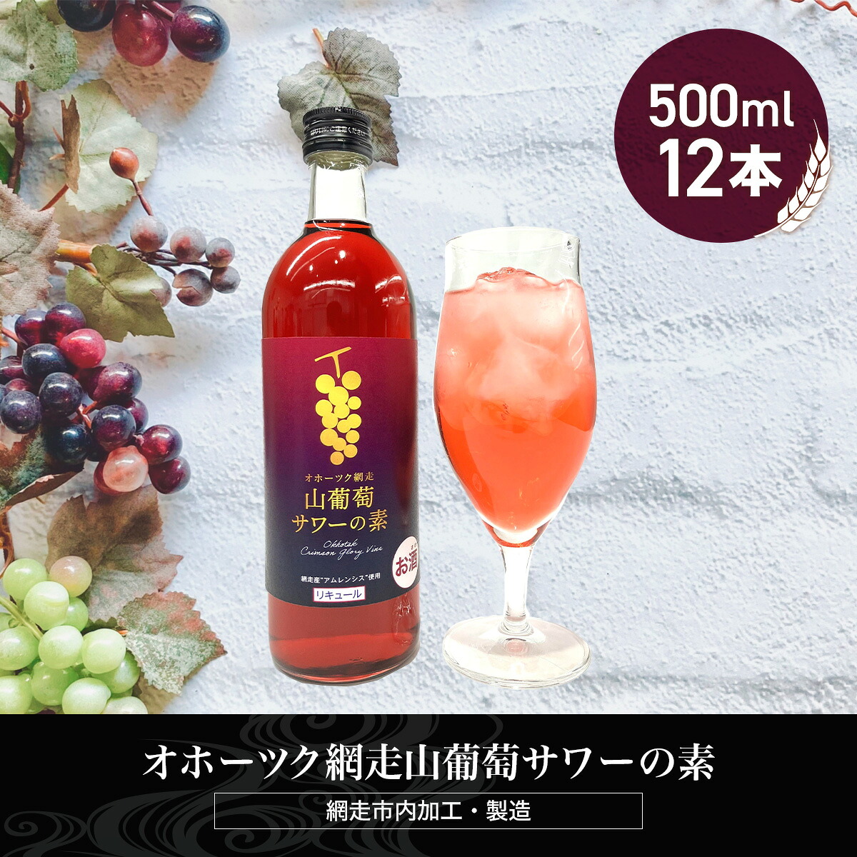 【ふるさと納税】オホーツク網走山葡萄サワーの素 500ml&times;12本入り（網走市加工・製造）【 ふるさと納税 人気 おすすめ ランキング ぶどうサワー 葡萄サワー ブドウサワー 素 お酒 流氷 オホーツク 宅飲み ご当地 お中元 お歳暮 ギフト 北海道 網走市 送料無料 】 ABH051｜北海道網走市