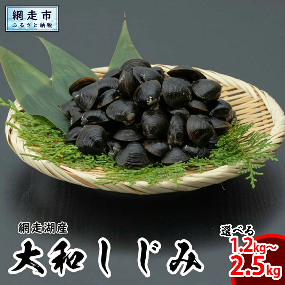 【ふるさと納税】網走湖産 天然大粒 大和しじみ 選べる 1.2kg 2kg 2.5kg ※着日指定不可 【 ふるさと納税 人気 おすすめ ランキング しじみ シジミ 蜆 大和しじみ 貝 魚貝類 網走湖産 砂抜き済 冷凍 味噌汁 大粒 天然 オホーツク 北海道 網走市 送料無料 】 ABX033