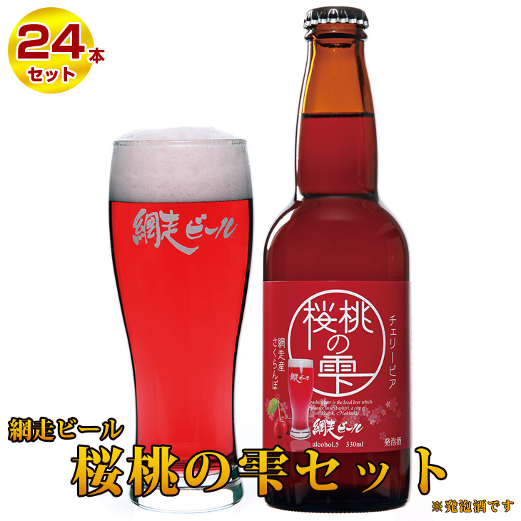 大切な ALE ふるさと納税 アルチザンエール ARTISAN 350ml×24本セット 網走市 ABASHIRI