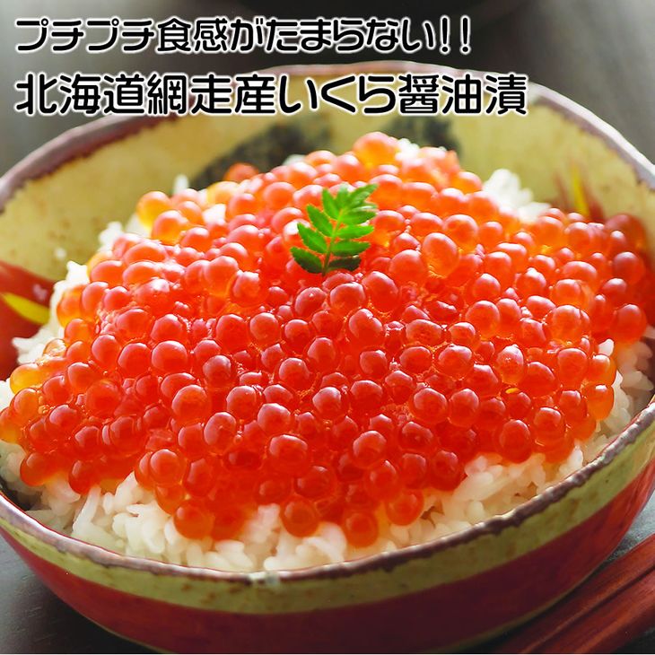 国内配送 ふるさと納税 北海道網走産いくら ほたてセット 正規品 Www Psht Or Id
