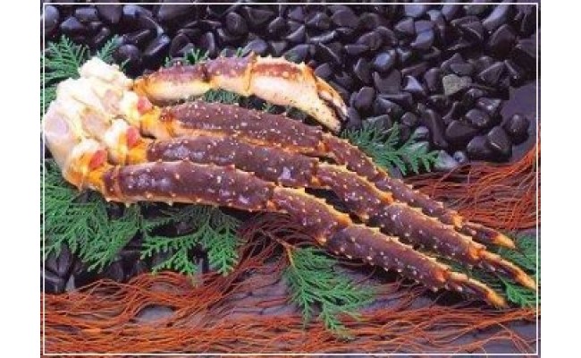 ふるさと納税 魚介類 水産加工品 数量限定 網走産 網走炉端五十集屋セット 詰め合わせ 3大人気の美味セット 北海道網走市