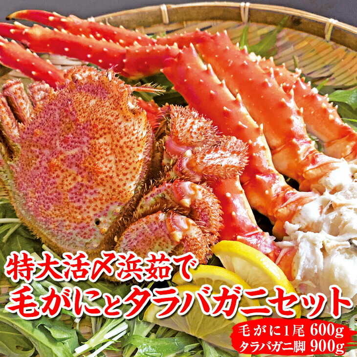 特大イバラガニ、1匹