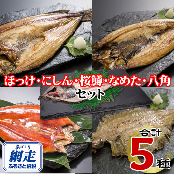【ふるさと納税】網走加工の一夜干しセット 5種B 【 ふるさと納税 人気 おすすめ ランキング ほっけ にしん なめた 桜ます 八角 一夜干し 一夜 干し 魚介 セット 詰め合わせ 自宅用 ギフト 贈答 贈り物 オホーツク 北海道 網走市 送料無料 】 ABE122｜北海道網走市 19,880円