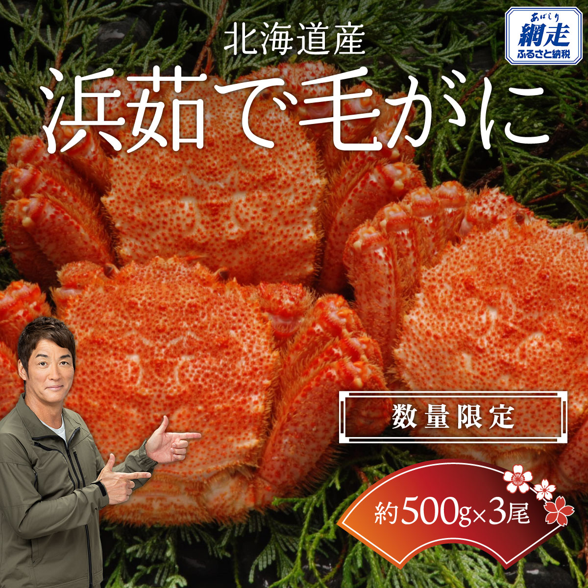 【ふるさと納税】【数量限定】＜北海道産＞浜茹で毛がに【約500g×3尾】（網走加工） 【 ふるさと納税 人気 おすすめ ランキング 毛蟹 毛ガニ 毛がに かに味噌 カニみそ 浜茹で 北海道 網走市 送料無料 】 ABC017