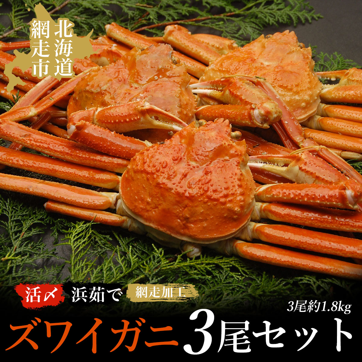 【ふるさと納税】活〆浜茹でズワイガニ冷凍3尾セット（網走加工）【 ふるさと納税 人気 おすすめ ランキング ズワイガニ ずわいがに かに カニ 蟹 ガニ ズワイ ずわい 浜茹で 3尾 1.8kg セット 冷凍 海鮮 新鮮 海鮮丼 オホーツク 北海道 網走市 送料無料 】 ABAO1004