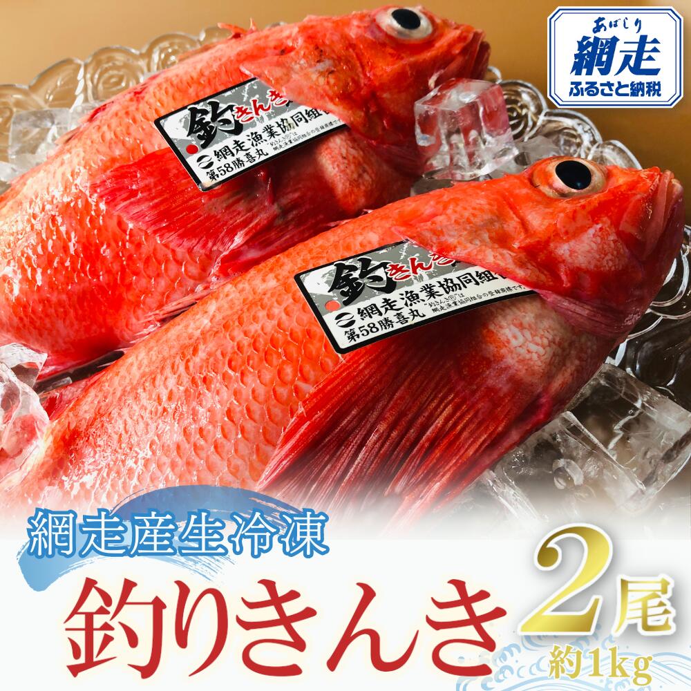 【ふるさと納税】【先行予約】網走産生冷凍釣きんき【2尾で約1kg】（2026年4月中旬頃～11月下旬頃発送）【きんき キンキ 釣りキンキ 釣りきんき 釣キンキ 釣きんき 喜知次 めんめ メンメ お祝い ギフト お歳暮 セット 冷凍 海鮮 新鮮 オホーツク 北海道 網走市】ABAO073