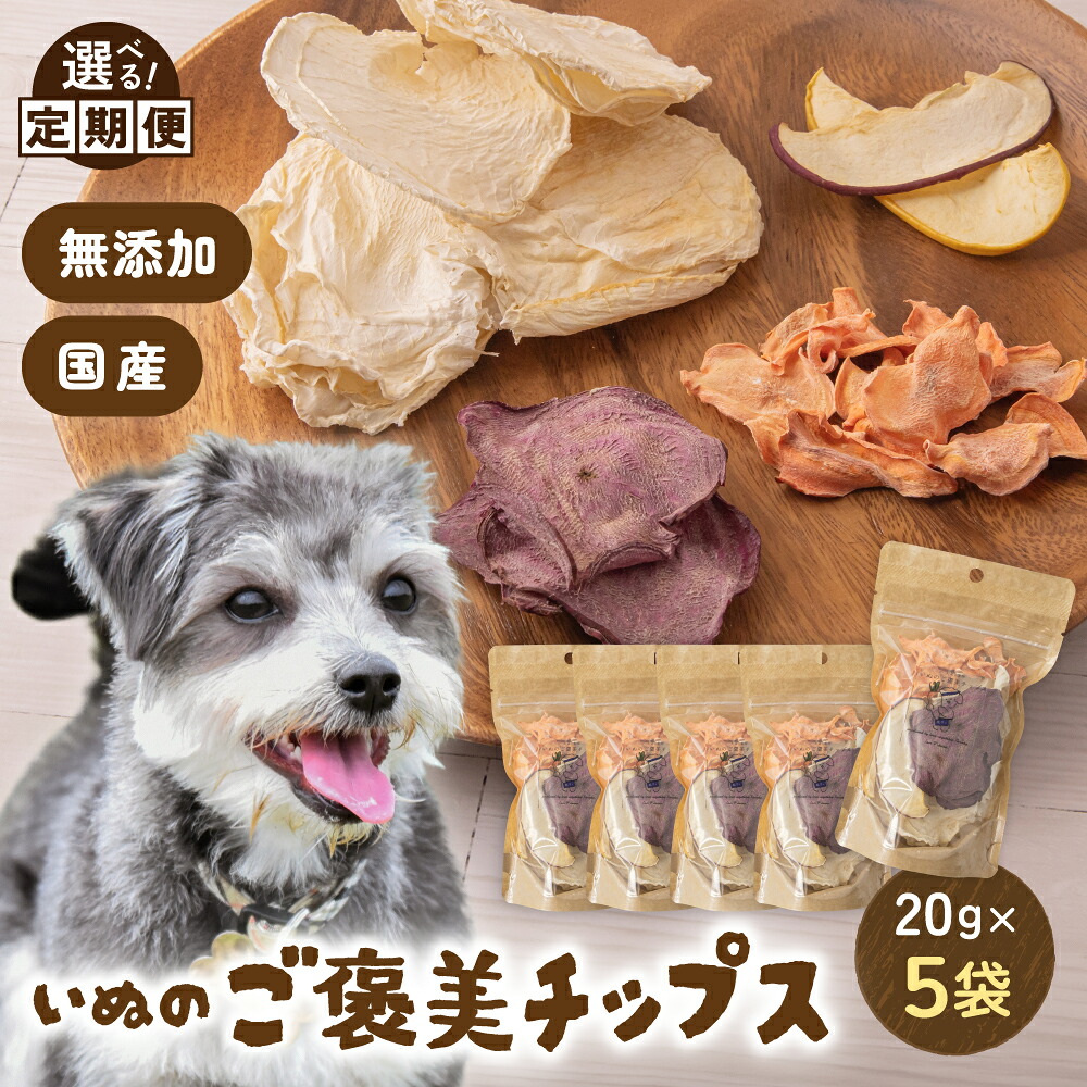 【ふるさと納税】〈選べる回数〉いぬのご褒美チップス20g×5袋 ペットフード 犬 無添加 おやつ 美味しい ご褒美 ドッグフード ドライ いぬ 犬用 いぬ用 愛犬用 R030-018|北海道留萌市