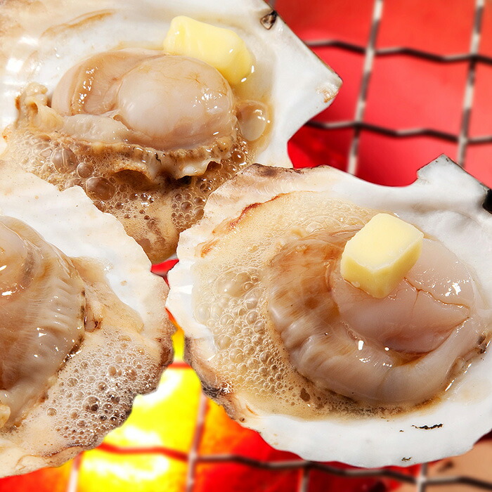 ふるさと納税 宗谷発明ホタテシェル 片貝差添 焼き貝目当て 早目冷凍 1キログラム 11 12枚 3鞄 計3キロ Lindsaymayphotography Com