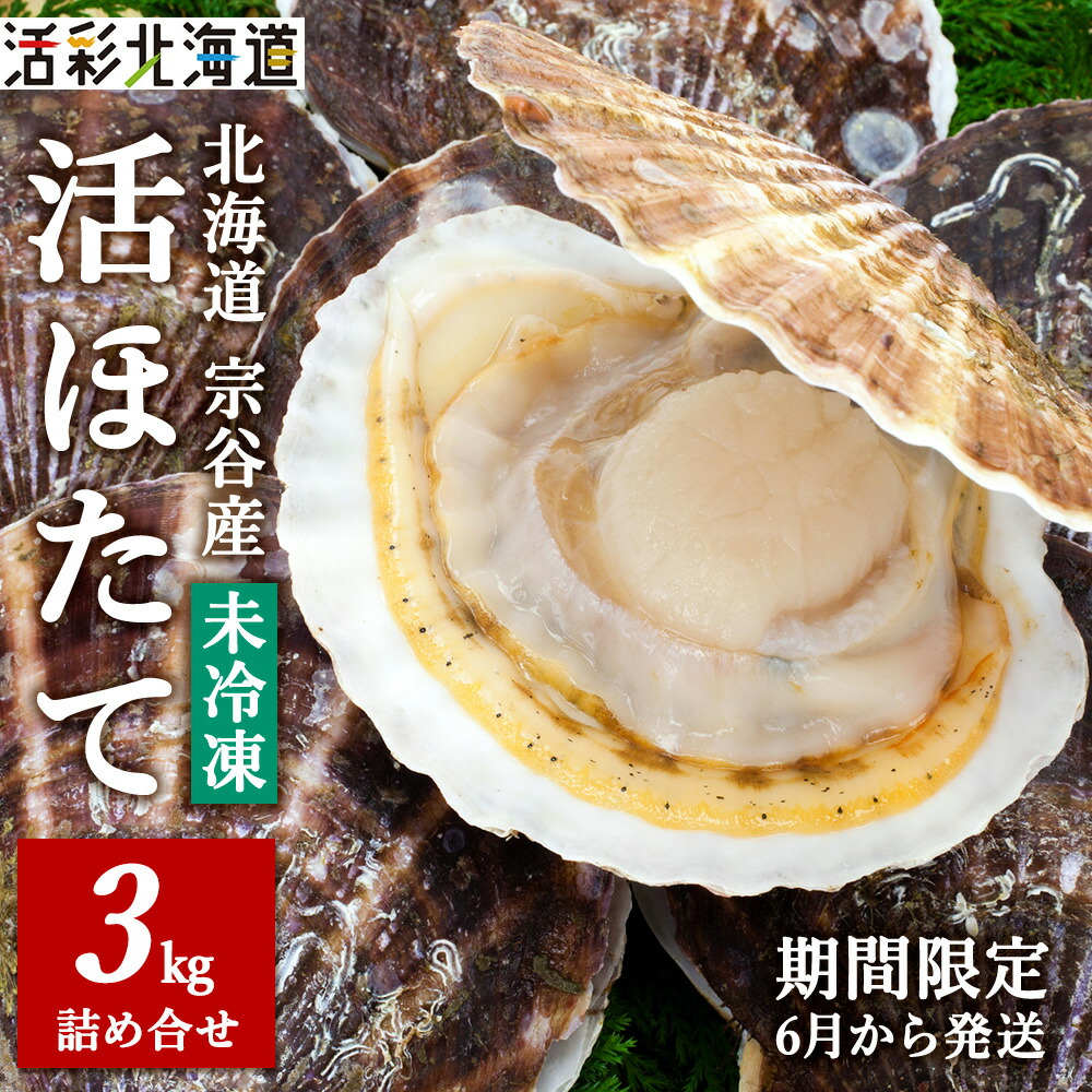 【ふるさと納税】【先行予約】《冷蔵便でお届け!》北海道宗谷産活ホタテ3kg前後詰合せセット 泳ぐ帆立参上!<br>ほたて ホタテ 帆立 貝柱 貝 活 北海道ふるさと納税 稚内 ふるさと納税 北海道 【配送不可地域：離島・沖縄県・信越、北陸・東海・近畿・中国・四国・九州】