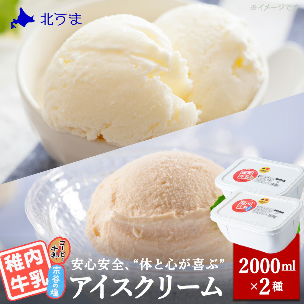 【ふるさと納税】【業務用】稚内牛乳アイスクリーム2000ml宗谷の塩×コーヒー牛乳2個セット アイス アイスクリーム スイーツ デザート 氷菓 牛乳 北海道ふるさと納税 稚内 【配送不可地域：離島・沖縄県】 17,625円