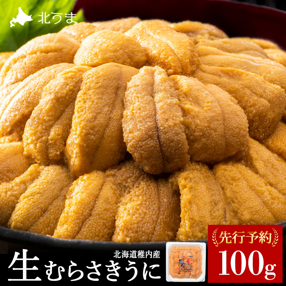 【ふるさと納税】【うにの名産地稚内市】最北端の生むらさきうに(100g×1) <br>うに ウニ 雲丹 むらさきうに ムラサキウニ 海鮮 魚介 生ウニ 小分け 北海道ふるさと納税 稚内 ふるさと納税 北海道 【配送不可地域：離島・沖縄県】