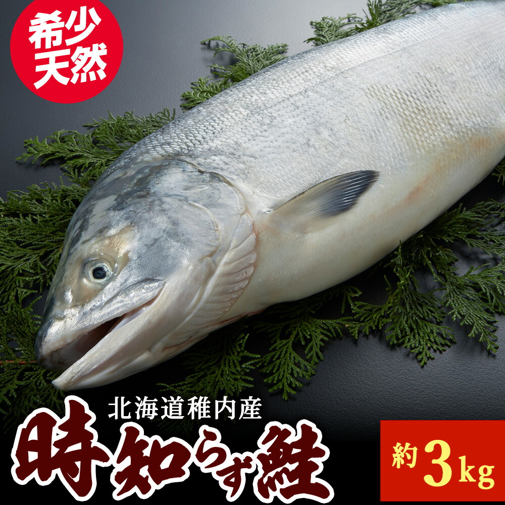 【ふるさと納税】『希少・天然』時知らず鮭3kg前後 時知らず 鮭 3kg 北海道 サケ 希少 天然 冷凍 ギフト プレゼント 贈り物 人気 おすすめ 送料無料 冷凍 【配送不可地域：離島・沖縄県】
