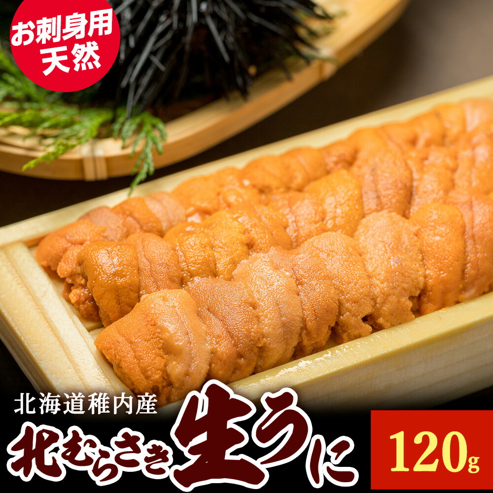 【ふるさと納税】【先行予約】『天然刺身用』北むらさきウニ 120g ウニ 刺身<br>ムラサキウニ うに むらさきうに 海鮮 海産物 北海道ふるさと納税 稚内 ふるさと納税 北海道 【配送不可地域：離島・沖縄県】