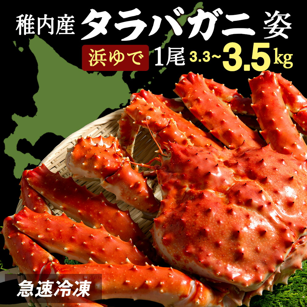 【ふるさと納税】タラバガニ姿（3.3kg~3.5kg）1尾 浜ゆで たらばがに タラバガニ たらば蟹 たらばガニ タラバかに たらばカニ 蟹 カニ ボイルタラバ 北海道ふるさと納税 稚内 ふるさと納税 北海道 【配送不可地域：離島・沖縄県】