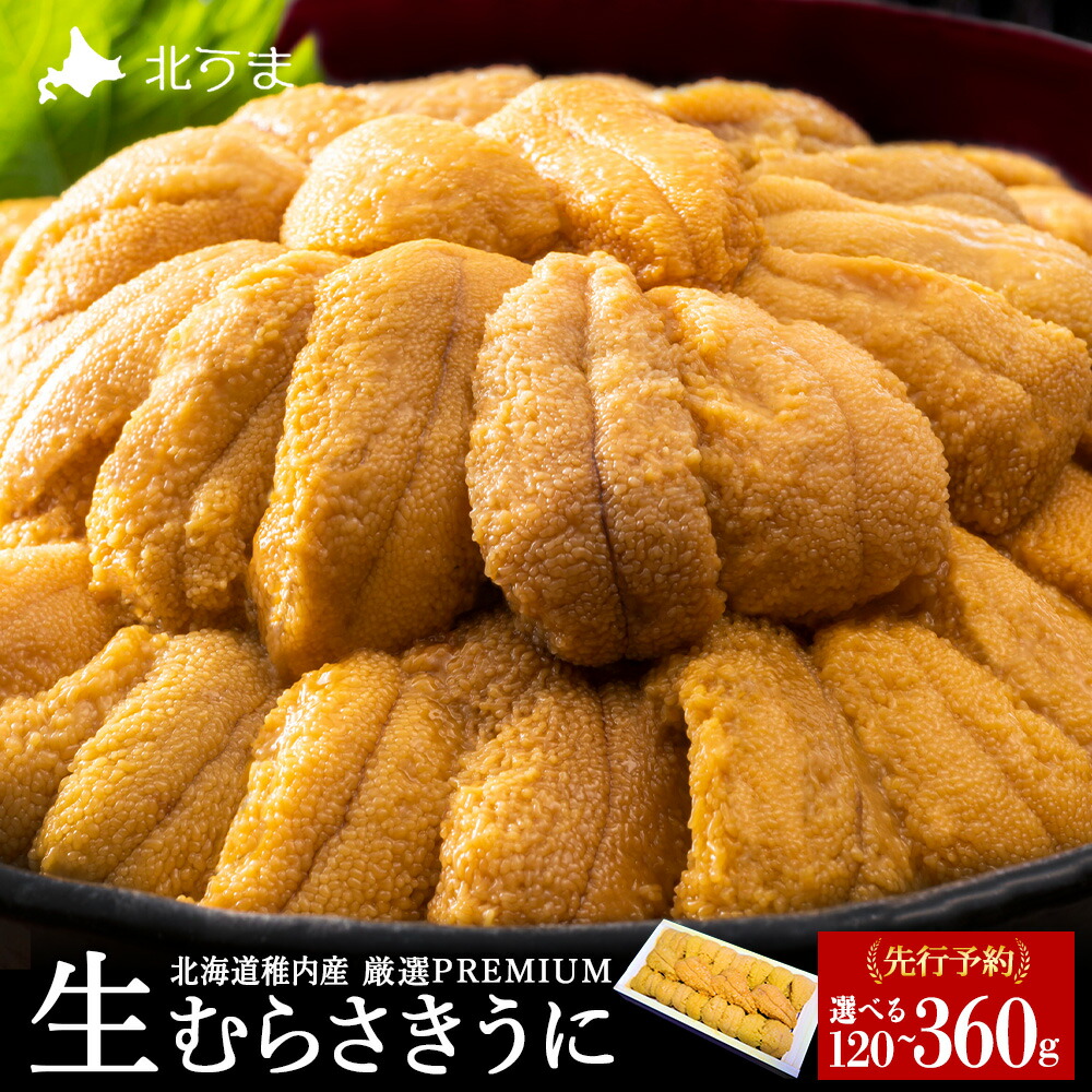 【ふるさと納税】【先行予約】【厳選PREMIUM】美味しいウニは昆布の名産地にあり!生むらさきうに 選べる1～3パック 1パック120g<br>ムラサキウニ うに むらさきうに 生うに 海鮮 海産物 北海道ふるさと納税 稚内 ふるさと納税 北海道 【配送不可地域：離島・沖縄県】