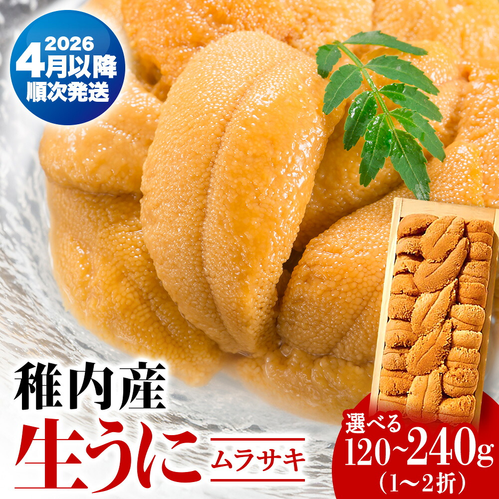 【ふるさと納税】【厳選品】生ムラサキウニ木箱入り120g～240gムラサキウニ 天然 うに むらさきうに 生うに 折詰 海鮮 海産物 北海道ふるさと納税 稚内 ふるさと納税 北海道 【配送不可地域：離島・沖縄県】｜北海道稚内市 24,120円