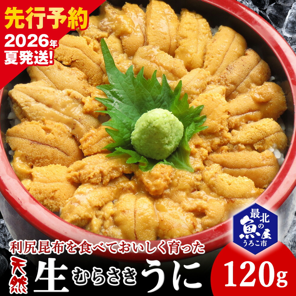 【ふるさと納税】【2026年発送】利尻昆布を食べておいしく育った「生むらさきうに」 120g 1折120gムラサキウニ 天然 うに むらさきうに 海鮮 海産物 北海道ふるさと納税 稚内 ふるさと納税 北海道 【配送不可地域：離島・沖縄県】｜北海道稚内市