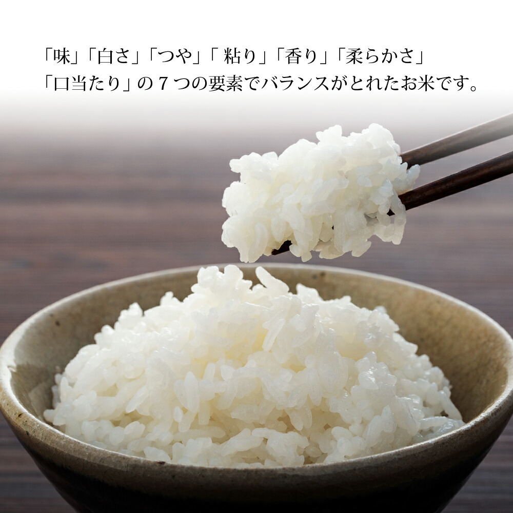 令和3年北海道産 特Aランク 5kg×2袋 お米 ななつぼし ななつぼし10kg ふるさと納税 北海道 北海道産 北海道米 旬北海道ふるさと納税 秋  美唄 日本最級 ななつぼし10kg