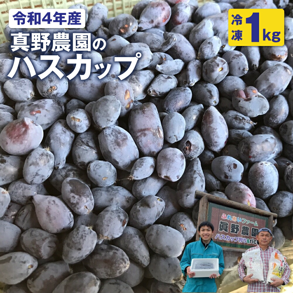 真野農園のハスカップ 1.0kg ハスカップ 果物 フルーツ 北海道北海道ふるさと納税 美唄 ふるさと納税 北海道 配送不可地域 生まれのブランドで