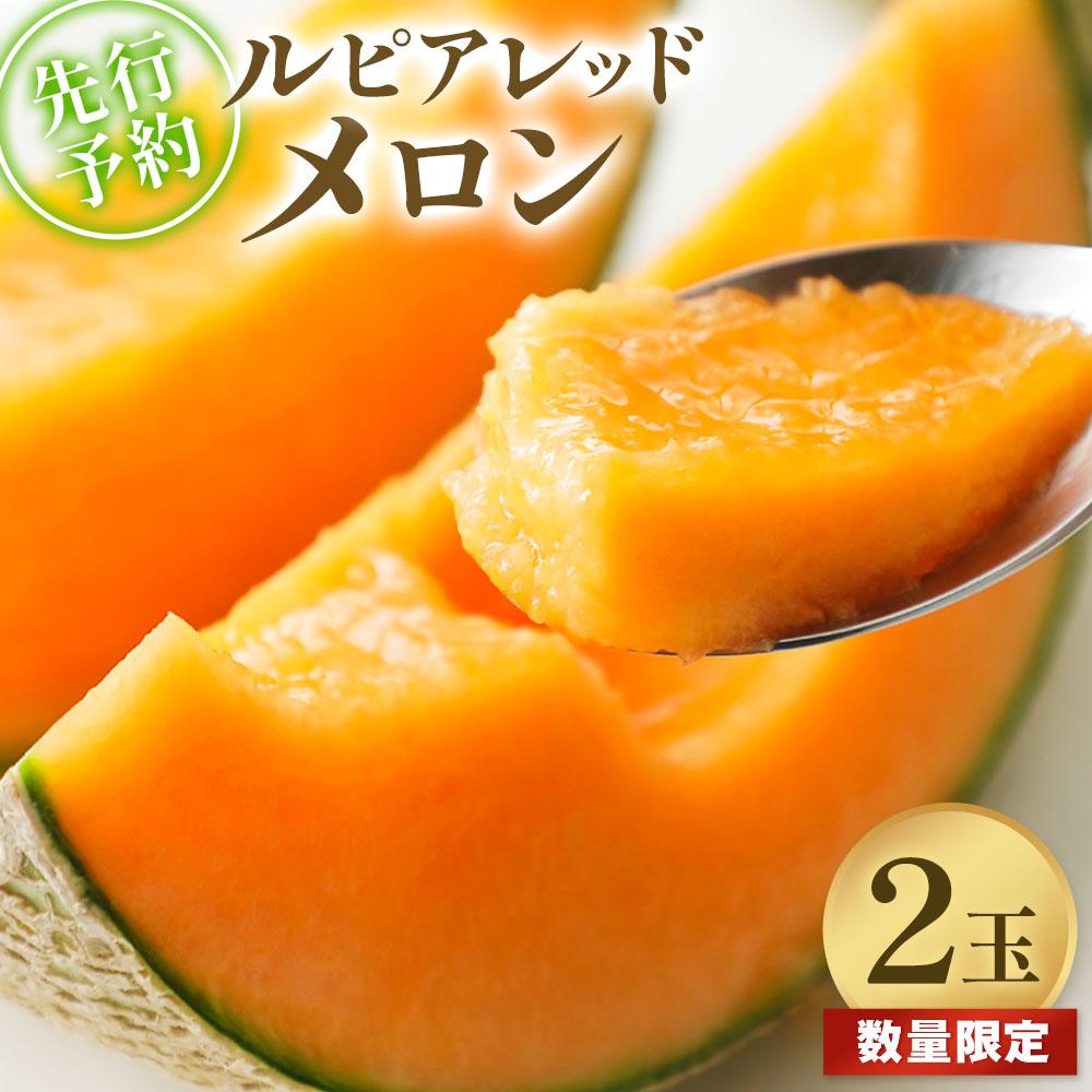 【ふるさと納税】【2025年発送】【先行予約】【数量限定】美唄市産ルピアレッドメロン２玉（赤肉） 【配送不可地域：こちらの商品は沖縄・離島への配送はいたしません。ご了承ください。】