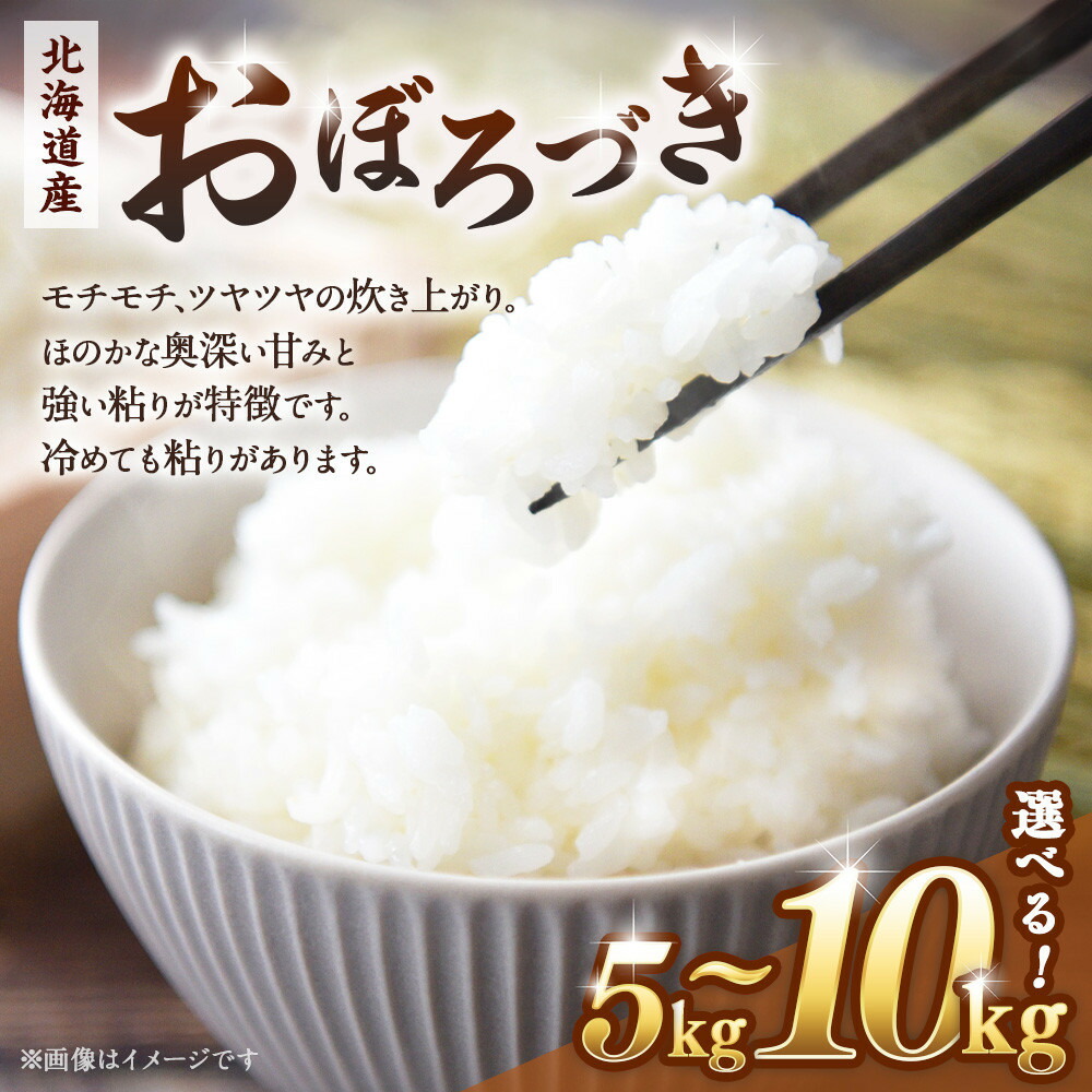 【ふるさと納税】【容量選択可】令和６年産　北海道産おぼろづき５kg又は10kg【国産 白米 精米 お米 単一原料米 厳選 生活応援 おぼろづき おすすめ 北海道 美唄市】