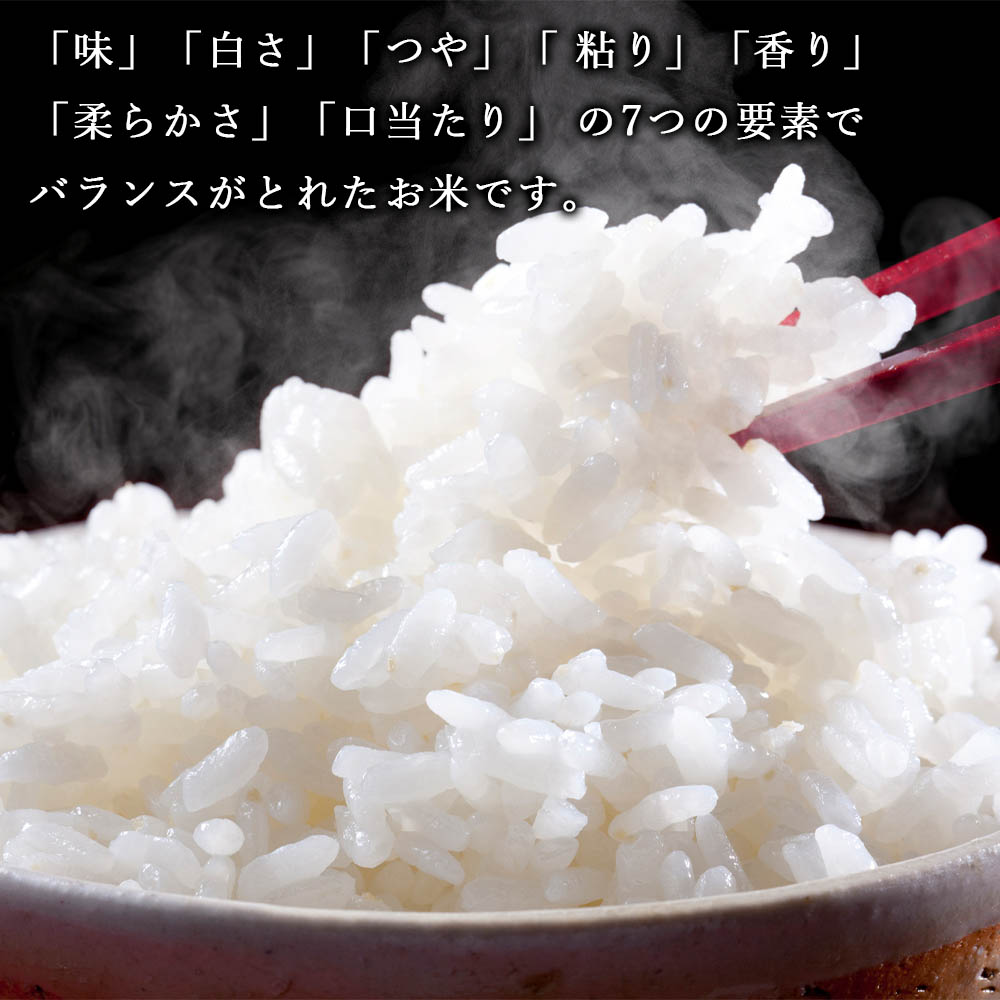 【ふるさと納税】【先行受付】令和3年北海道産特Aランクななつぼし10kg(5kg×2袋)【美唄市産】お米北海道米ななつぼし北海道産北海道ふるさと納税美唄ふるさと納税北海道