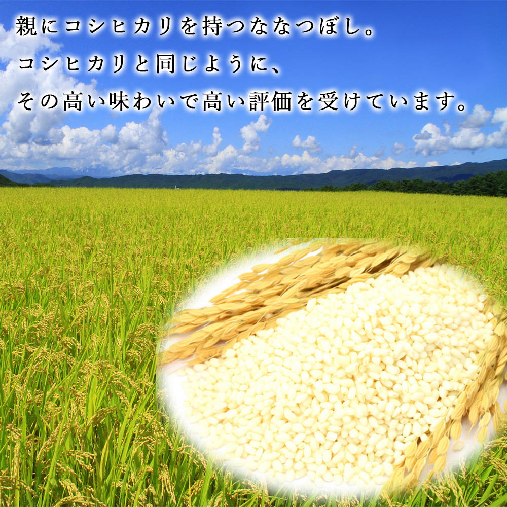 【ふるさと納税】【先行受付】令和3年北海道産特Aランクななつぼし10kg(5kg×2袋)【美唄市産】お米北海道米ななつぼし北海道産北海道ふるさと納税美唄ふるさと納税北海道