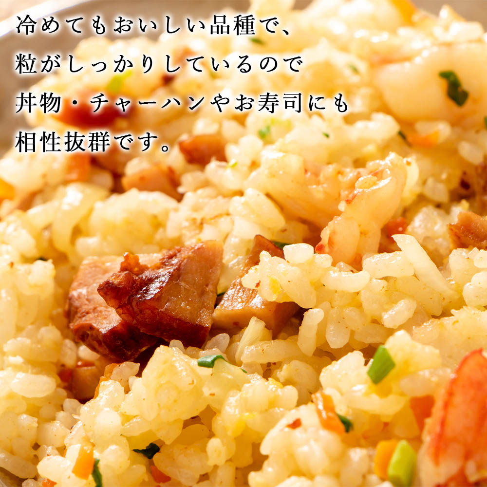 【ふるさと納税】【先行受付】令和3年北海道産特Aランクななつぼし10kg(5kg×2袋)【美唄市産】お米北海道米ななつぼし北海道産北海道ふるさと納税美唄ふるさと納税北海道