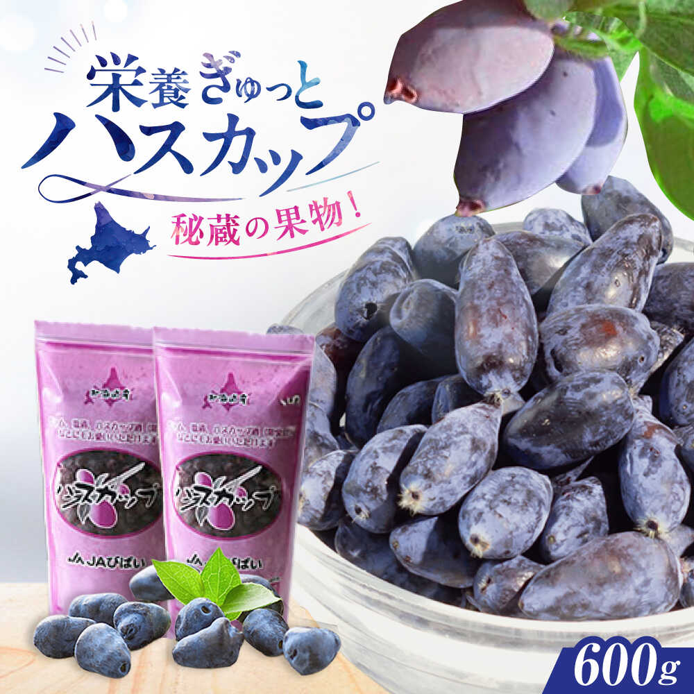 ハスカップ 3キロ 楽天市場】【ふるさと納税】ハスカップ 600g（300g×2パック