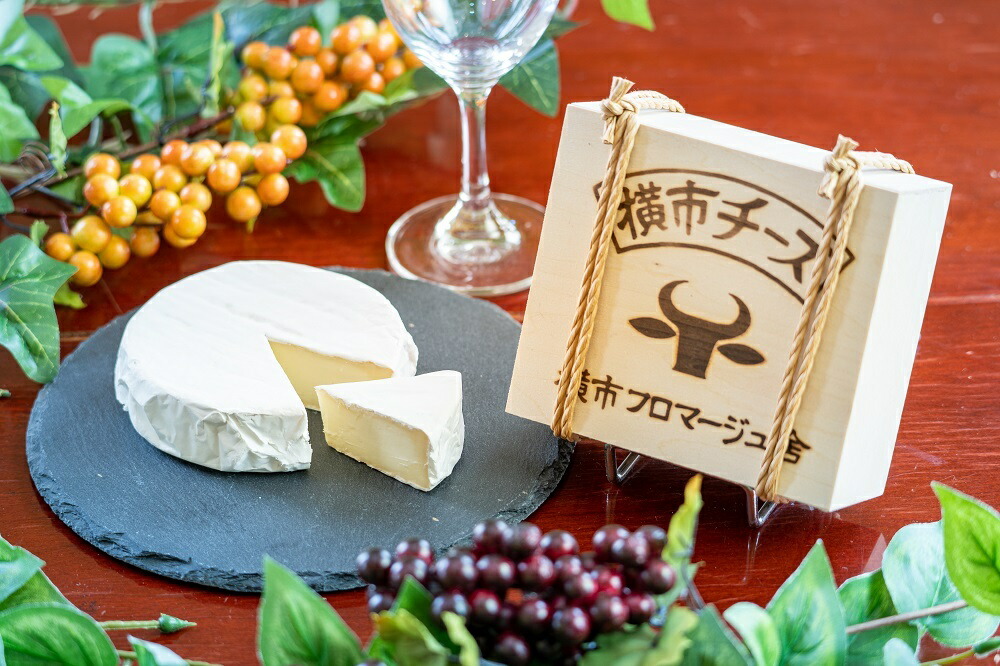 ふるさと納税 カマンベールタイプ が大特価！ 横市チーズ おまけ付 芦別市 170ｇ×2個 北海道