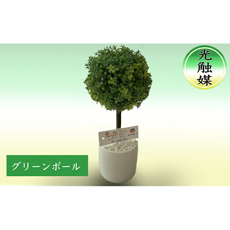 【ふるさと納税】光触媒 造花 グリーンボール 約25cm 観葉植物 フェイクグリーン 抗菌 浄化 消臭 浄化 植物 インテリア おしゃれ フェイク 卓上 人工観葉植物 アートグリーン 北海道 芦別市|北海道芦別市