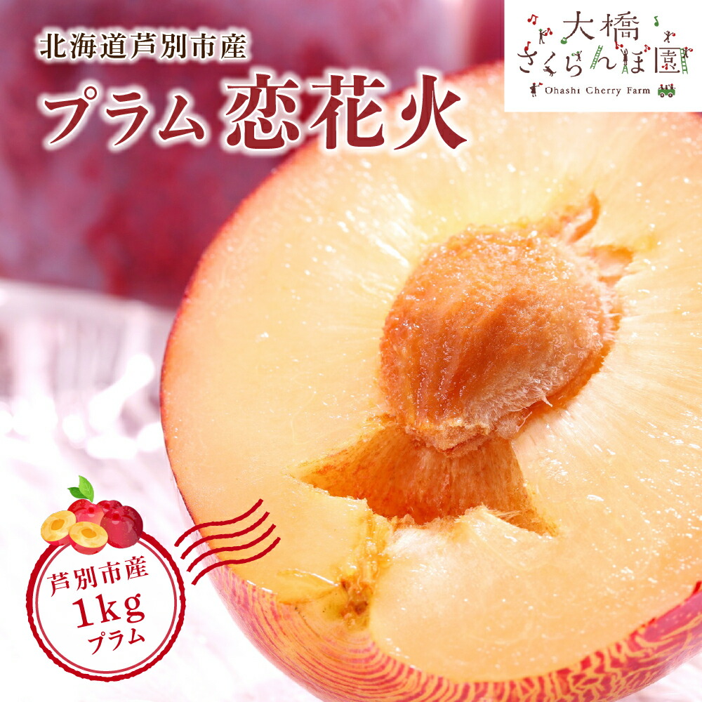 【ふるさと納税】先行予約 プラム 恋花火 1kg フルーツ 果物 くだもの 旬のフルーツ 旬の果物 季節のフルーツ 季節の果物 北海道 芦別市　お届け：2025年9月中旬頃～