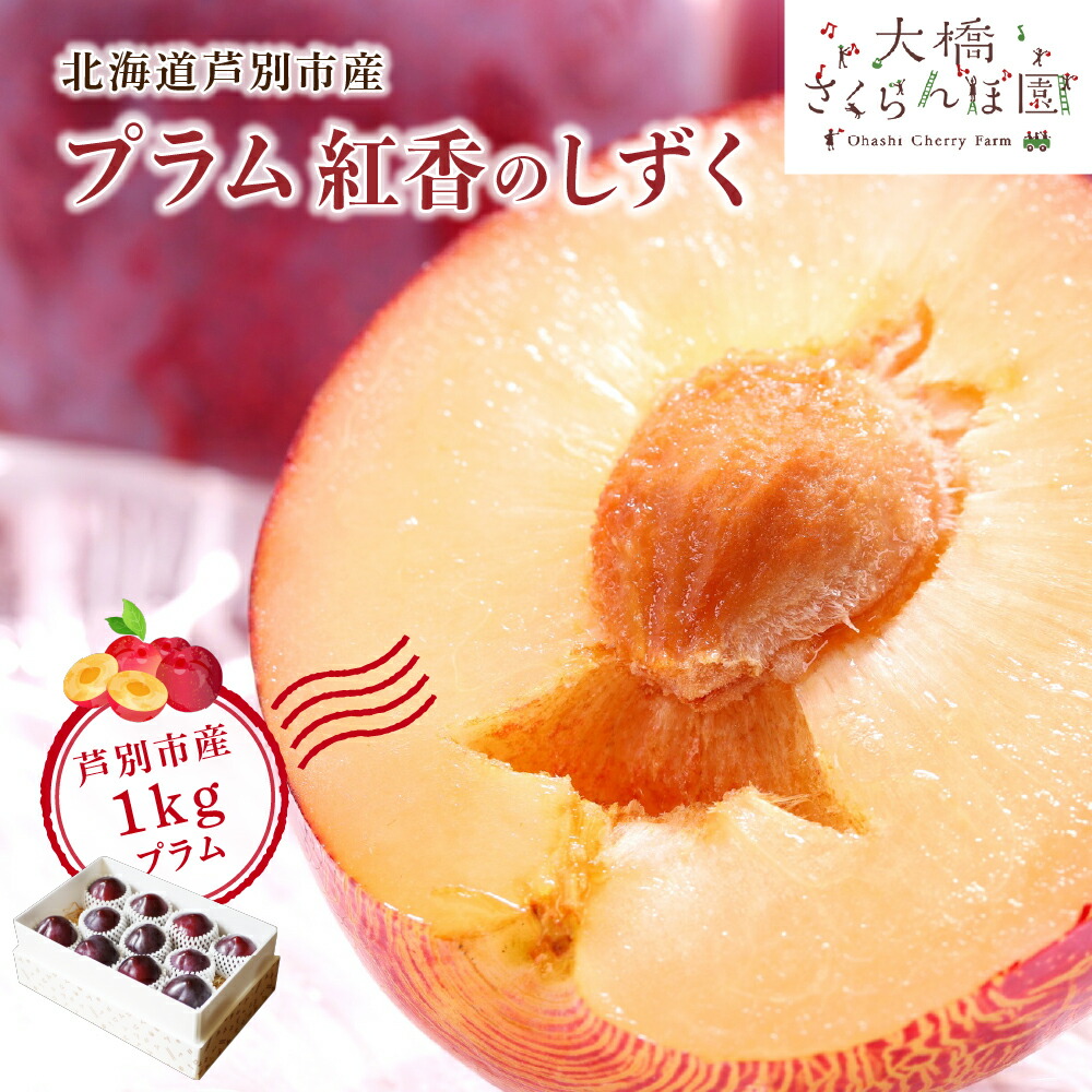 【ふるさと納税】プラム 先行受付 紅香のしずく 1kg 北海道産 すもも フルーツ 果物 旬のフルーツ 旬の果物 くだもの 北海道 芦別市　お届け：2025年9月中旬頃～