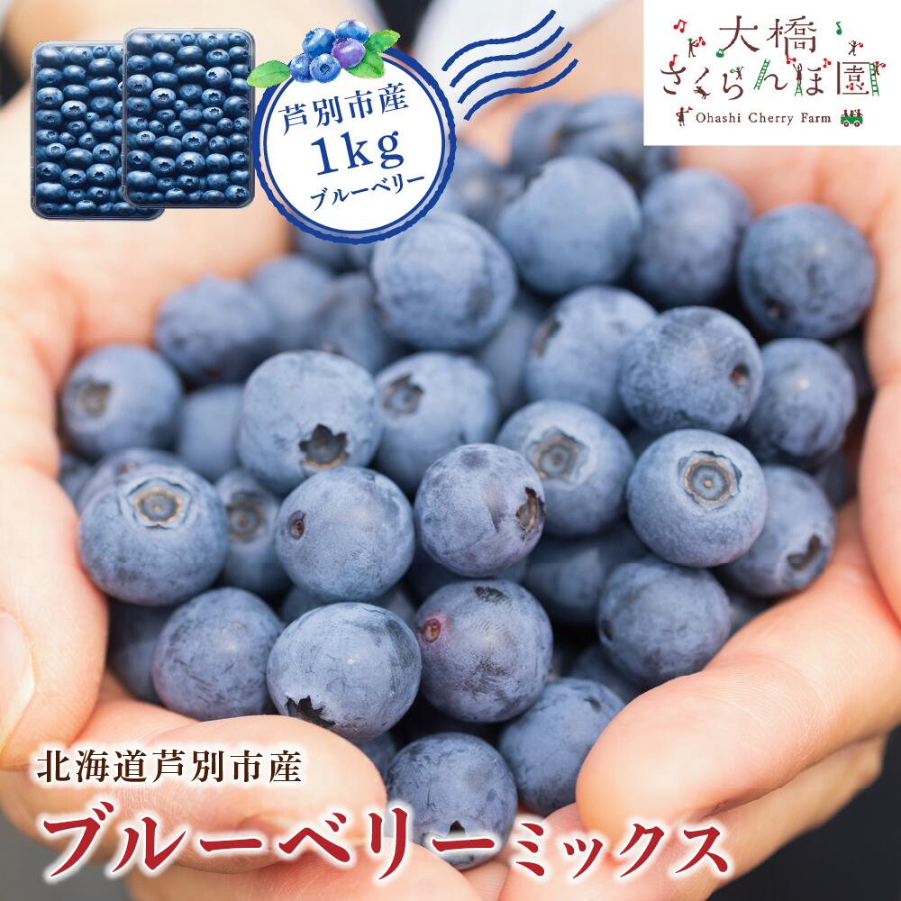 【ふるさと納税】先行受付 ブルーベリー ミックス 1kg 冷蔵 果物 くだもの フルーツ 旬の果物 旬のフルーツ 8品種 ミックスブルーベリー 大粒 小粒 北海道 芦別市　お届け：2025年8月中旬頃～