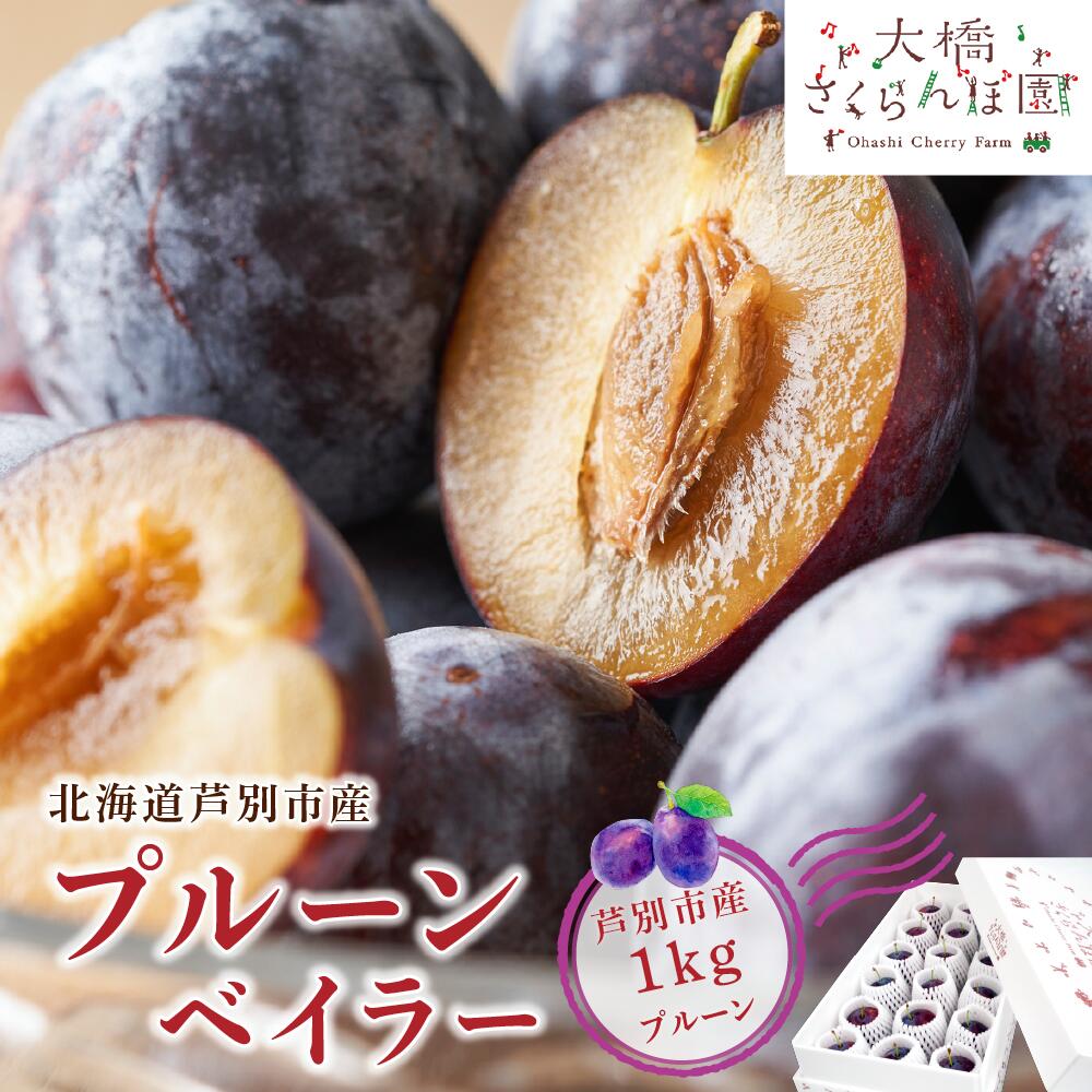 【ふるさと納税】プルーン 先行受付 ベイラー 1kg 生 フルーツ 果物 旬のフルーツ 旬の果物 くだもの 北海道 芦別市　お届け：2025年9月下旬頃～