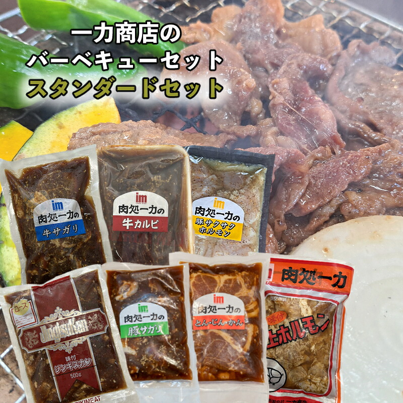 【ふるさと納税】一力商店 バーベキューセット スタンダード セット 詰め合わせ 味付け肉 味付き肉 牛肉 豚肉 牛 豚 肉 お肉 焼き肉 焼肉 バーベキュー アウトドア キャンプ ロース 上ホルモン ホルモン 牛さがり 牛カルビ 豚サガリ とんじんかん 北海道 芦別市