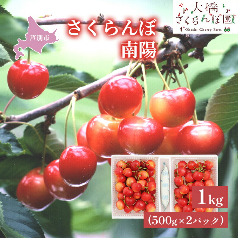 【ふるさと納税】【先行受付】さくらんぼ 南陽1kg（500g×2パック）高級 サクランボ 北海道 芦別産 赤 3L 果物類 フルーツ チェリー 　お届け：2025年7月中旬頃～