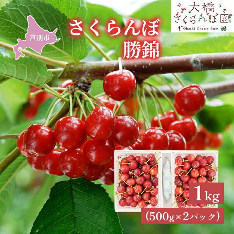 【ふるさと納税】【先行受付】さくらんぼ 勝錦1kg（500g×2パック）サクランボ 赤 大橋 オリジナル 希少 果物類 フルーツ チェリー 　お届け：2025年7月下旬頃～