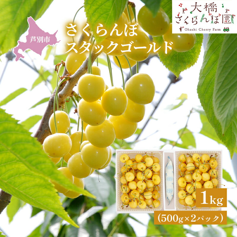 【ふるさと納税】【先行受付】さくらんぼ スタックゴールド1kg（500g×2パック）サクランボ 黄 大橋 芦別 希少 果物類 フルーツ チェリー 　お届け：2025年7月下旬頃～