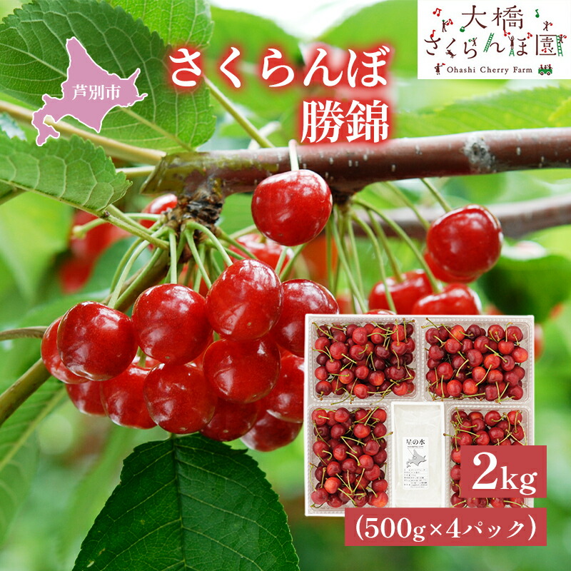 【ふるさと納税】【先行受付】さくらんぼ 赤 勝錦2kg（500g×4パック）サクランボ 赤 大橋 ほまれにしき 希少 大容量 果物類 フルーツ チェリー 　お届け：2025年7月下旬頃～