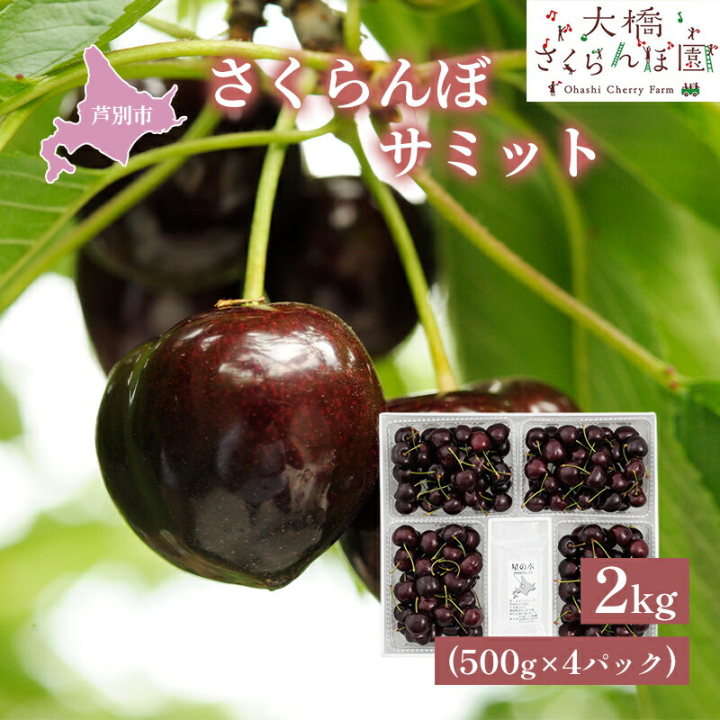 【ふるさと納税】さくらんぼ 先行受付 サミット 2kg 500g×4パック 大橋さくらんぼ園 農林水産大臣賞 受賞 サクランボ チェリー 果物 果物類 フルーツ デザート 高級 希少 大粒　お届け：2025年7月中旬頃～