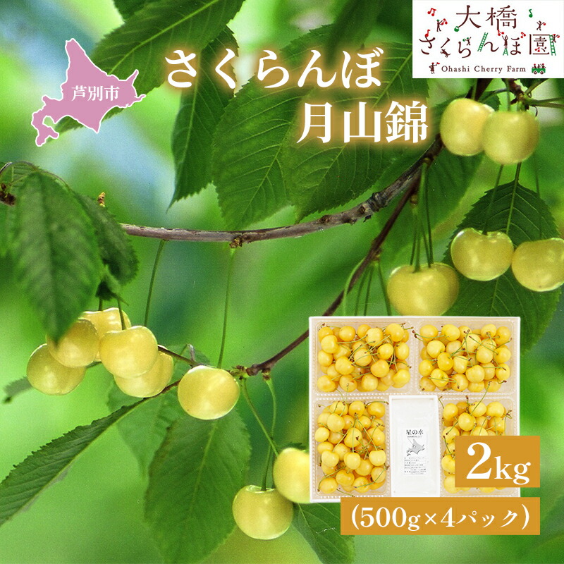 【ふるさと納税】さくらんぼ 先行受付 月山錦 2kg 500g×4パック 農林水産大臣賞 受賞 サクランボ チェリー 果物 果物類 フルーツ デザート 最高級 黄色 大粒 甘い 酸味が少ない さくらんぼの女王 大人気 希少 北海道 芦別市　お届け：2025年7月中旬頃～